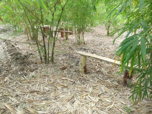 a bench sitting in the middle of a forest at Mwea Farmstay -CampSite and Nature Trail in Karaba