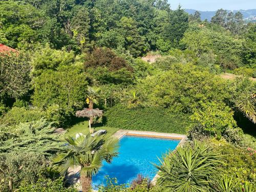 vista sulla piscina in una foresta di Quinta de Ribas ad Amarante