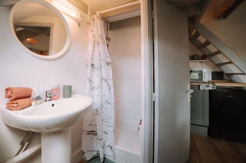 une salle de bain avec un lavabo et un miroir dans l'établissement Le cocon de la gare, à Rennes