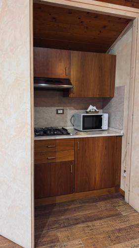 a kitchen with a microwave and a stove at B&B Al Vecchio Molino in Valbrembo
