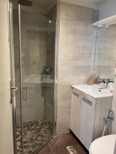 une salle de bain avec douche et lavabo dans l'établissement Grand studio atypique, à Courbevoie