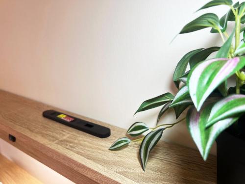 a plant sitting on a table next to a remote control at 散步的喵 in Tung-chou