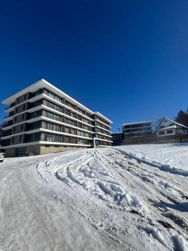 ein Gebäude mit Schnee auf dem Boden davor in der Unterkunft Studio apartment in Bakuriani in Bakuriani