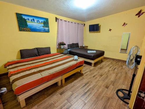 TV a/nebo společenská místnost v ubytování Casa Alixel Hotel Boutique