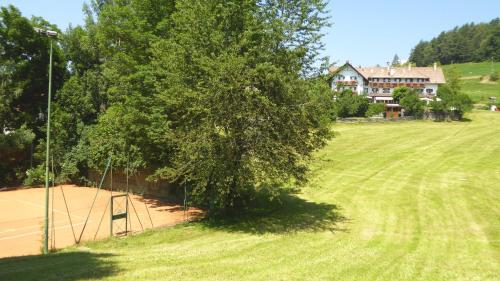 a large tree next to a tennis court at Villa Maier B&B & Apartments in Soprabolzano