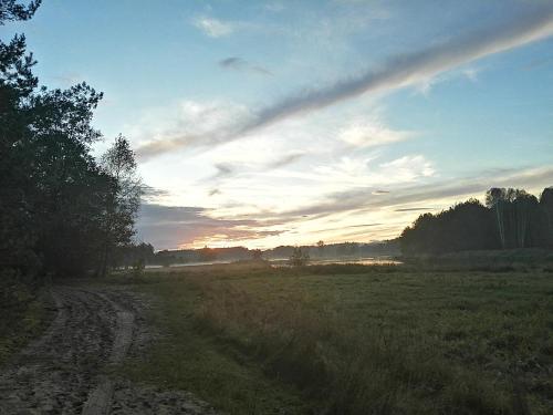 a dirt road in a field at sunset at Kwatera agroturystyczna Przywóz in Przywóz