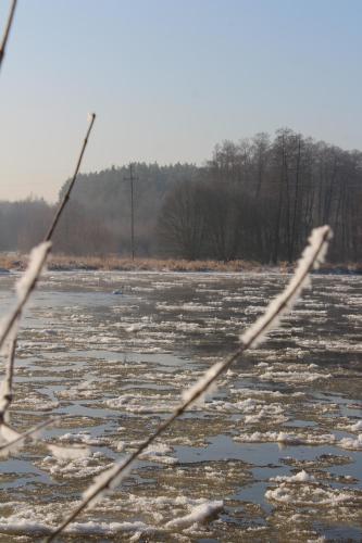 a frozen river with snow and trees in the background at Kwatera agroturystyczna Przywóz in Przywóz