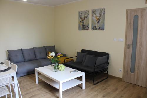 a living room with a couch and a table at Kwatera agroturystyczna Przywóz in Przywóz