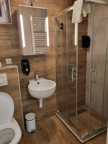 a bathroom with a shower and a sink and a toilet at Apartman Jovanovic Kopaonik in Kopaonik
