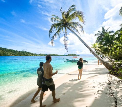 Příroda nedaleko hostelu