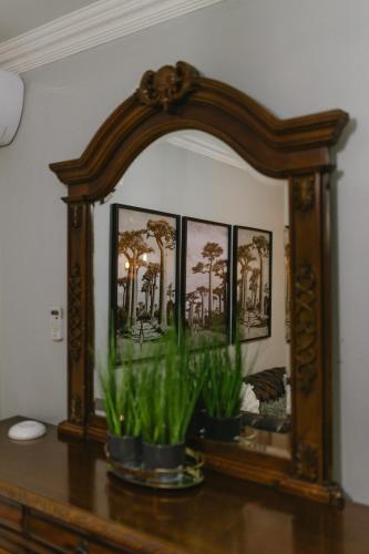 a mirror sitting on top of a table with plants at Meraki Country Manor in Lanseria