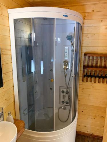 a shower with a glass door in a bathroom at Pensiunea Vânătorul in Dămuc