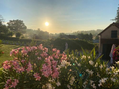 a garden with pink and white flowers in front of a sunset at Studio Logis les Roses in Bourbon-lʼArchambault
