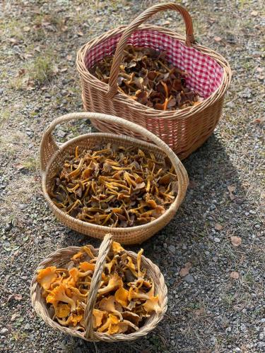three baskets of food sitting on the ground at Cozy guest house in the countryside in Håltebyn