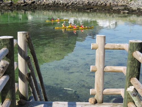 a group of people in kayaks on a body of water at Valen Cabins in Reine in Reine