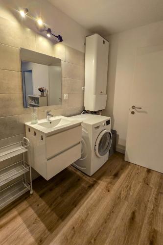 une salle de bain avec une machine à laver et un lavabo dans l'établissement Fiori Di Cala Rossa, Établissement CARDOGA Piscine, Mer & Montagne, à Lecci