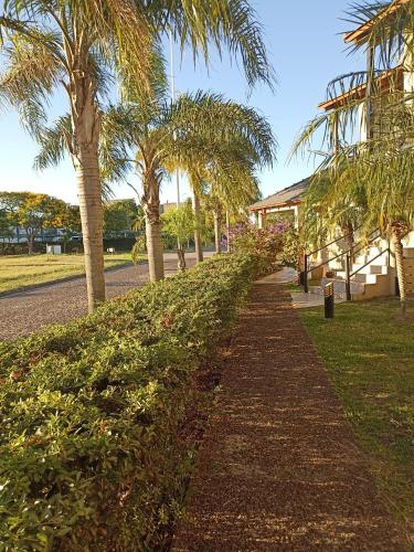 a row of palm trees next to a building at Brisas del Lago Apart y Hotel in Federación