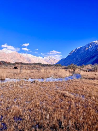 a field of grass with mountains in the background at TRAVELLER NEST in Deskit