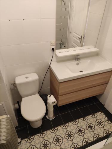 une salle de bain avec toilettes, lavabo et miroir dans l'établissement Résidence Béro Bisto Studio 4 pers la Mongie Grand Tourmalet, à Bagnères-de-Bigorre