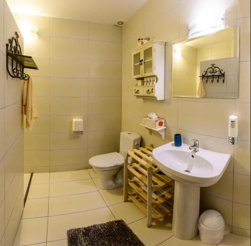a bathroom with a sink and a toilet at Bojarski Gościniec in Narewka