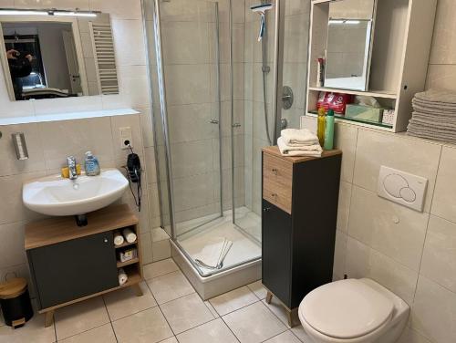 a bathroom with a shower and a toilet and a sink at Terassen Whg 68 qm bis 6 pers in Wiesbaden