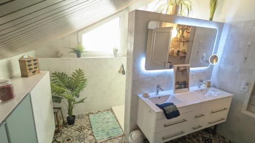 une salle de bain avec un lavabo et un miroir dans l'établissement Cosy Arnaya Domaine et Grande Piscine - 1 hectare, à Jurançon