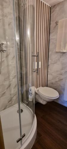 コトブスにあるAhorn Hotelのトイレとガラスのシャワー付きのバスルーム