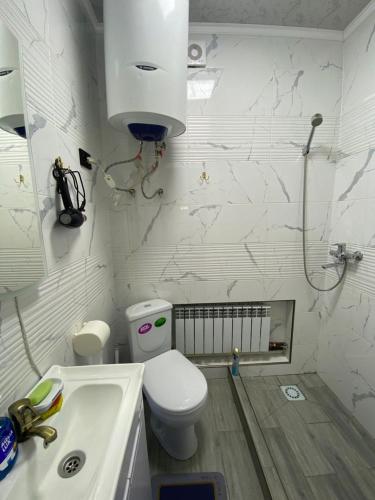 a bathroom with a toilet and a sink at HADIA guest House in Karakol