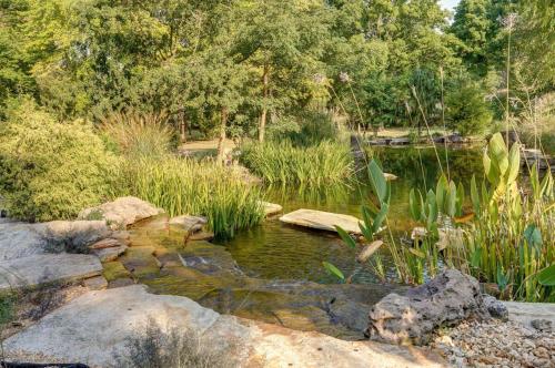 a pond in a garden with rocks and trees at The African Queen in Springfield