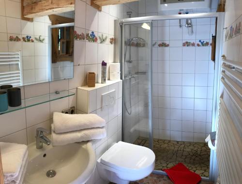 a bathroom with a shower and a toilet and a sink at Urige Kuschelhütten Oberprenner in Haus im Ennstal