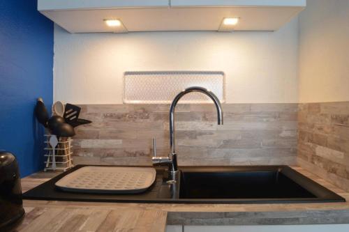 un comptoir de cuisine avec un évier et un sinkiterator dans l'établissement Appart 2 pièces 4 couchages BANYULS SUR MER BN120-4217, à Banyuls-sur-Mer