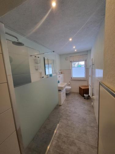 a bathroom with a sink and a toilet in it at Fewo Weidenhof in Großschwabhausen