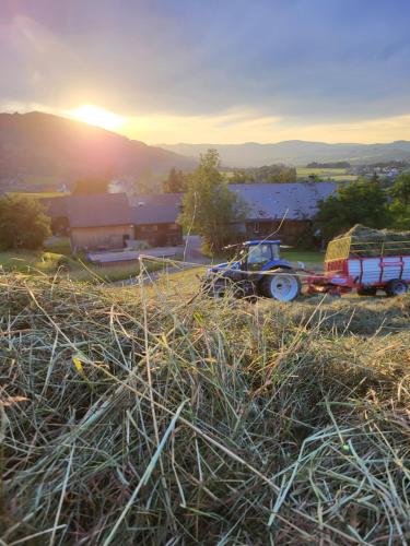 a truck parked on top of a hill with the sunset at Ausblickhof Geiger in Egg