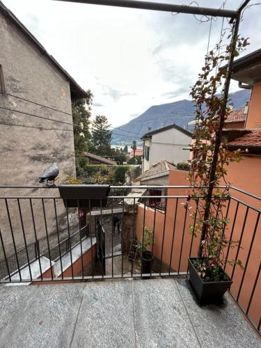 Nespecifikovaný výhled na hory nebo výhled na hory při pohledu z apartmánu