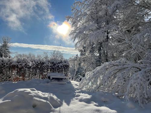 a bench covered in snow next to a fence at Chalet Ski-Club Romand Bienne in Orvin