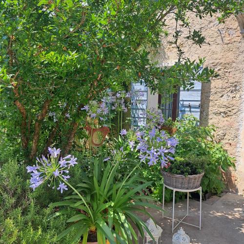 a garden with purple flowers and a chair under a tree at Casadesergio in Refrontolo