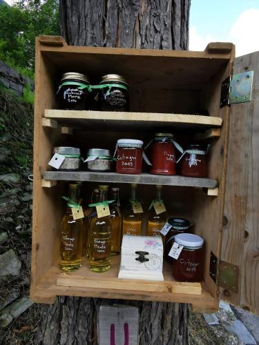 a wooden box filled with jars of honey in a tree at Cuore Verde Apartment in Gerra Verzasca