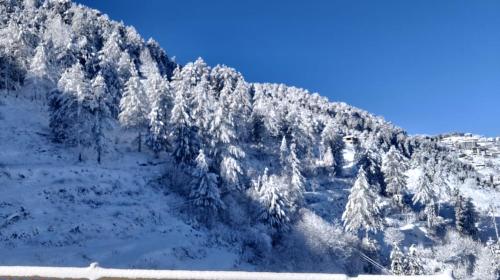 a mountain with snow covered trees on top of it at The Nature Dreams l Private Balconies l 360" Mountain View l Room Service l Business Centre l Apple Orchid for Morning and Evening Walk l Kufri by Exotic Stays in Kūfrī