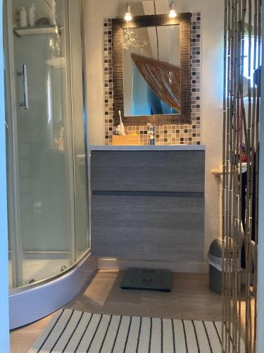 une salle de bain avec une douche, un lavabo et un miroir dans l'établissement Var Draguignan Vacation Rental, à Draguignan