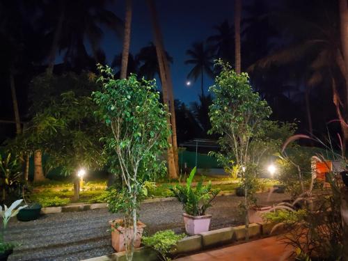 a garden at night with palm trees and plants at PV Cottages - Serenity Beach in Puducherry
