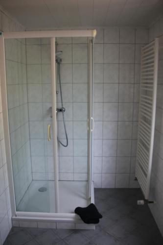 a shower with a glass door in a bathroom at Weingut Schumacher - mit privatem Saunabereich in Sankt Aldegund