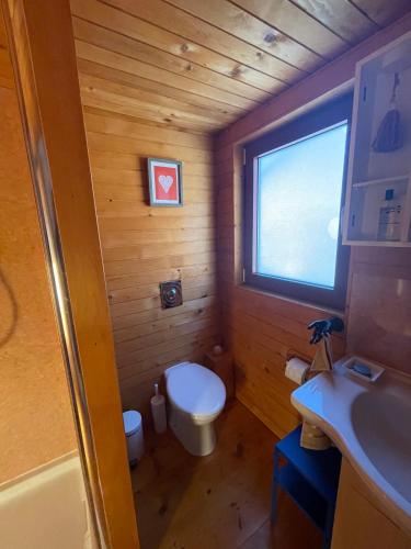 a small bathroom with a toilet and a sink at Nadiza Hilltop Retreat in Breginj