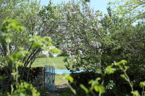 un jardin avec une porte bleue et des arbres fleuris dans l'établissement Charming Villa - Pool large Estate Piano 13p, à Esclauzels