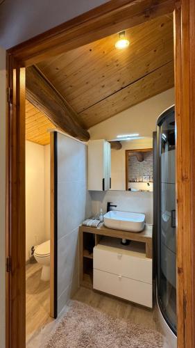 a bathroom with a sink and a toilet at Chambres d'hôtes Les Rozières in Le Bourdet