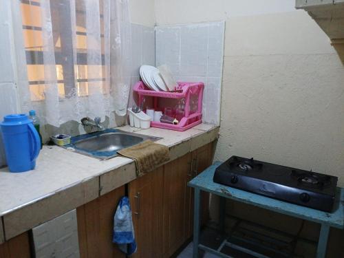 a kitchen counter with a sink and a pink toaster at Airbnb in Mwea town in Thiba