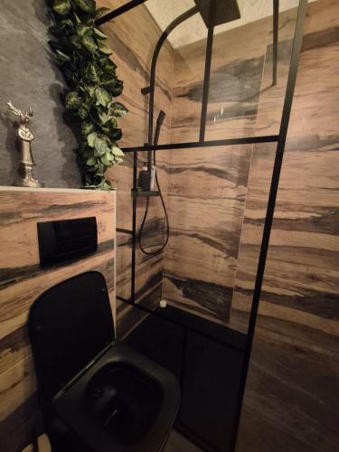 a bathroom with a black toilet in a room at Drevenička Zázrivá Terchová in Zázrivá