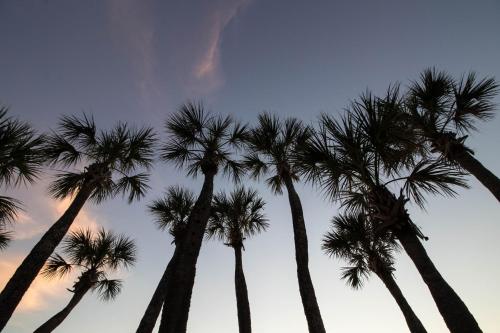 Fotografie z fotogalerie ubytování Palm Gables 106 v destinaci Holmes Beach