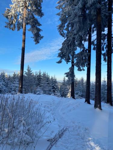 Chalet Belveder Horská chata v zimě