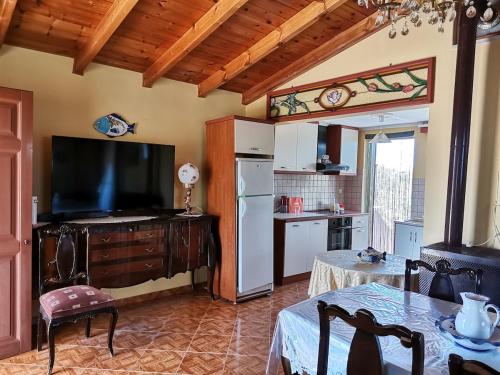 a kitchen with a refrigerator and a tv in a room at Ελαια in Marathopolis