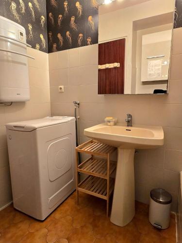 une salle de bain avec un lavabo et une machine à laver dans l'établissement Fidji - à 7min de la mer à pied, avec balcon et parking - BY Auraconciergerie, aux Lecques